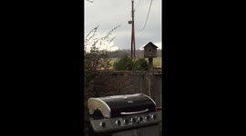 Tornado hits Mississippi amid deadly storms