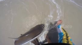 Moment fisherman gets hit in the face by caught shark