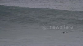 A Christmas swell in Nazare