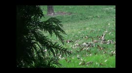 Spring Rain During Christmas: 2015