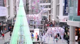 Boxing day in Toronto,Canada