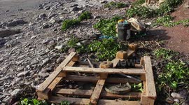 Wembury Devon today National Trust Rangers on the beach doing a beach clean before new years day swim