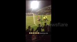 Goalkeeper 'decks' fan after 'pitch invasion'