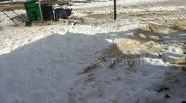 Winter Storm Goliath: 2 Days Later in SE New Mexic