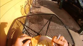 Hand feeding wild birds at breakfast