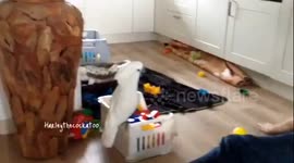 Cups throw fun with daddy ????