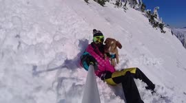 Nova Scotia Duck Tolling Retriever Puppy Sliding Down A Mountain, Alfie's Mini Avalanche