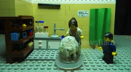 Lego Scientists find a dinosaur egg and opens it with an explosion