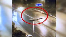 'Drunk' man attacks fence in the middle of the road