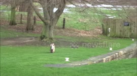 River Merges With Canal During Flooding