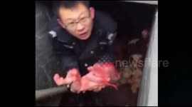 Police officer saves abandoned newborn baby from cesspit