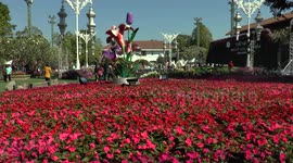 Asean Flower Festival