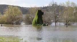 Mondego River Bursts it's banks