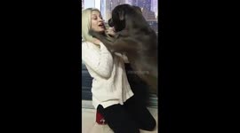 Dog knocks down owner showing overwhelming love