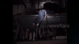 Drunk man sleeps on second floor canopy while police try to rescue him