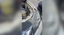 Firemen remove huge python from family's SUV parked outside home