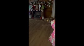'A DOG... A REAL DOG!' - Girl has the sweetest reaction after getting her Christmas wish fulfilled