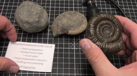 Fossil hunter unboxes 180-million-year-old fossil from United Kingdom