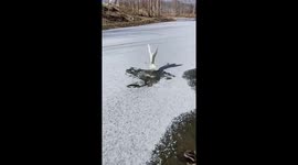 Chinese men rescue an egret whose foot is frozen to an icy brook
