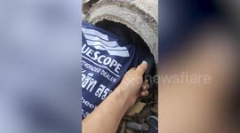 Scared stray dog stuck in concrete pipe rescued by locals