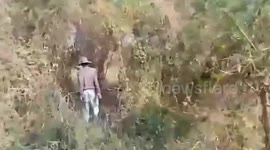 Farmer's cow rescued after falling down well