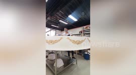 Bakers build gigantic stand-inside 'Beauty and the Beast' cake for little girl's birthday party