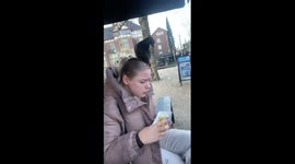 Doves swarm a woman's head as she eats chips in Amsterdam