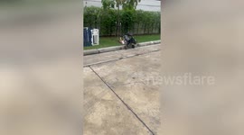 Toddler hilariously stuck on her back like beetle when stroller topples over