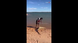 Responsible angler shows no fear while helping 11-foot sawfish back into sea