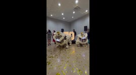 Man uses lion dancers to help propose to partner during Chinese New Year celebrations