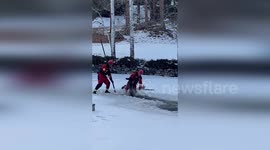 Firefighters rescue elk trapped in frozen pond in Colorado