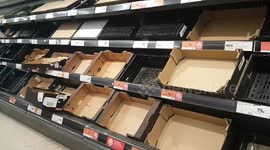 Fruit and vegetable shortage hits UK as fresh aisles seen empty in London supermarket