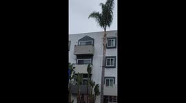 Active Shooter Culver City arrest footage