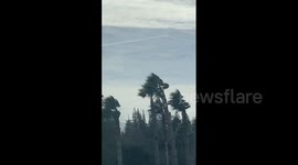US: High Winds Rip Through Bay Area Toppling Trees And Power Lines 2