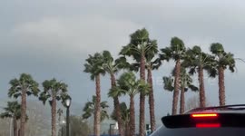 US: High Winds Rip Through Bay Area Toppling Trees And Power Lines