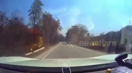 Tree weakened by forest fires falls into oncoming car on rural road in Thailand