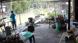 Deadly cobra creeps up on housewife while she prepares dinner on patio