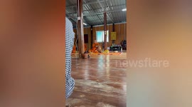 Clingy pet dog snuggles with monk while he chanted prayers at Buddhist ceremony