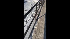 Woman rescues 7-year-old boy who fell through frozen river in Russia