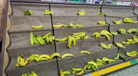 Morrison's go bananas on empty fresh vegetable shelves as tomato crisis deepens in UK