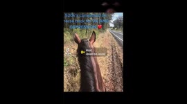 Awareness DV and depression