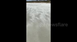 Cool-looking ‘sand blizzard’ seen at South Carolina's Huntington Beach State Park