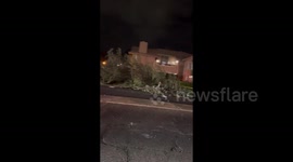 US: High Winds Rip Through Bay Area Toppling Trees And Power Lines 4