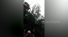 Policemen safely rescued after helicopter crash in Indonesian forest