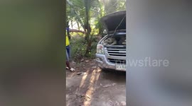 Driver finds huge king cobra curled up in his car engine