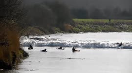 Surfers ride the wave of the 4* Severn Bore