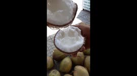 Special coconuts without water only copra in Vietnam