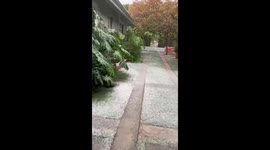 Shocking snowfall hits Los Angeles amid cold wave affecting US