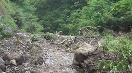 Bacon District Road Closed Due to Landslide, Disrupting Travel Between Sorsogon and Albay Provinces in Sorsogon, Philippines