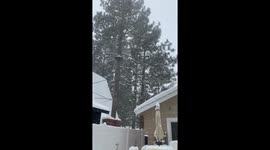 Heavy snow blankets San Bernardino mountains as winter storm blasts California
